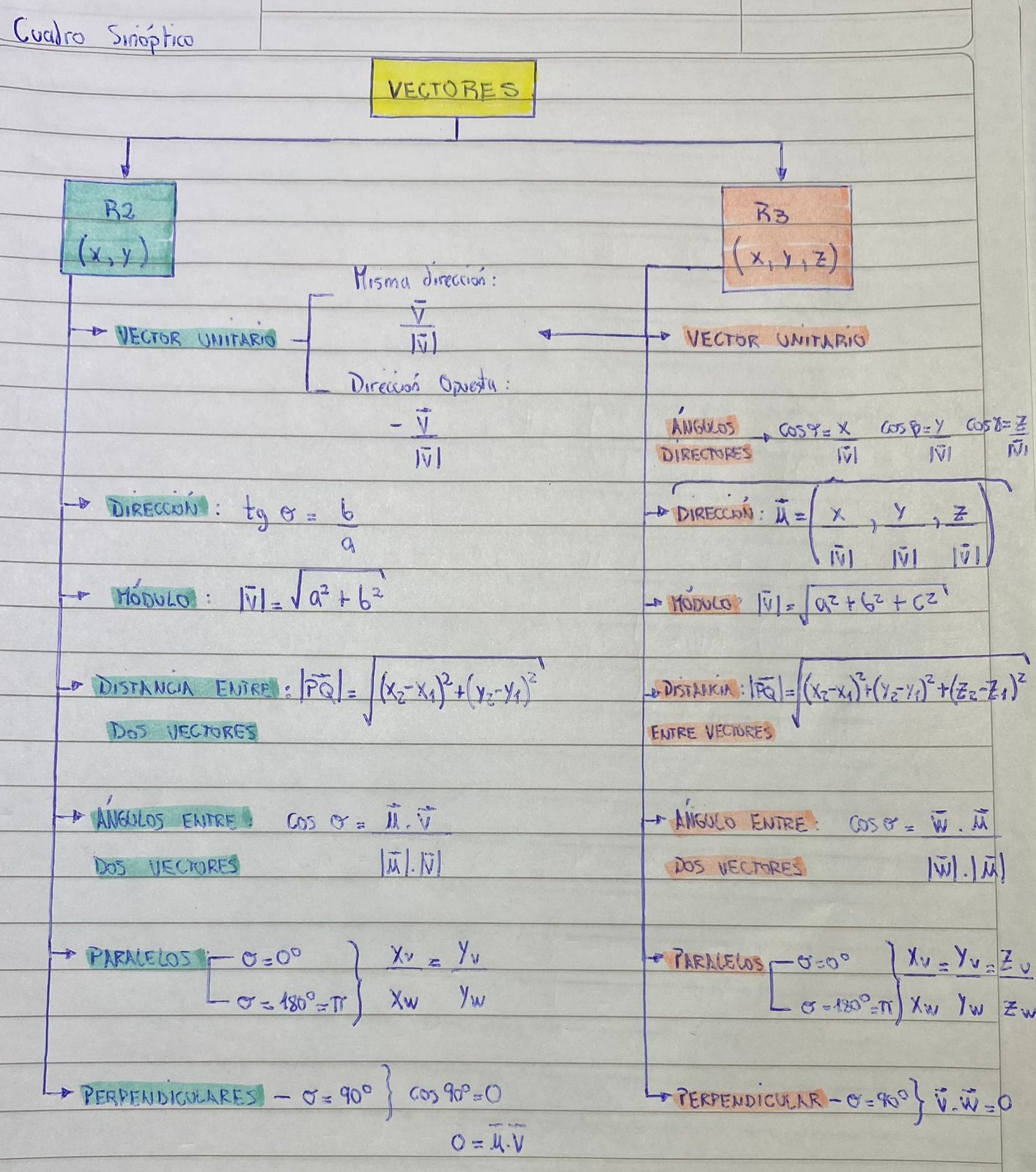 Adjunto Cuadro siníptico, matemática.jpeg