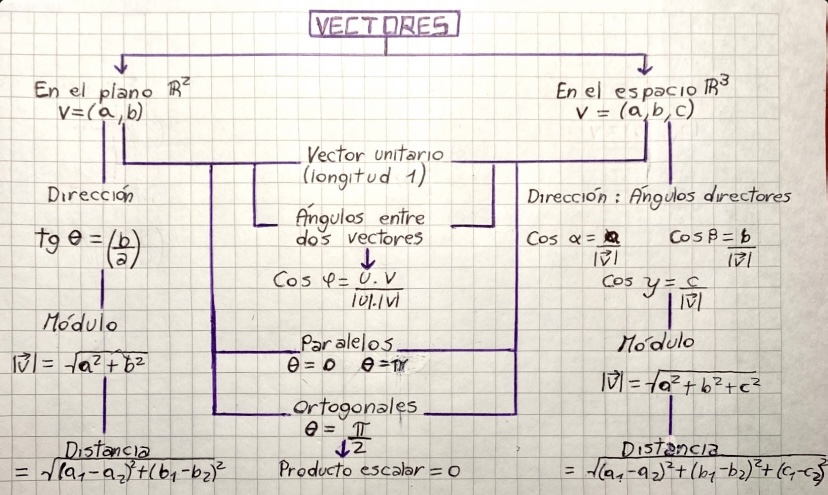 Adjunto Cuadro sinóptico vectores .jpeg