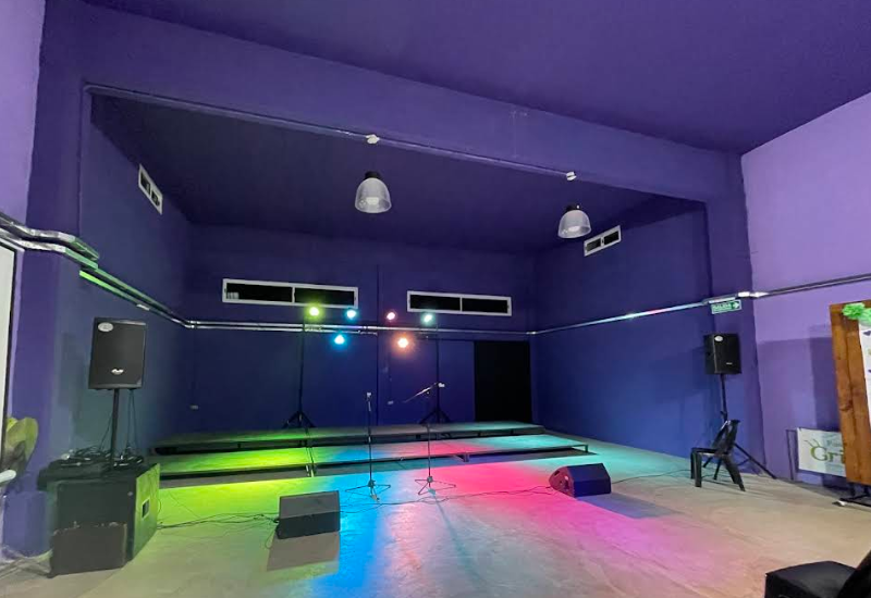 Adjunto FOTO GRILLOS.png