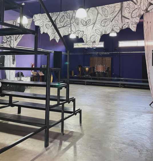 Adjunto FOTO GRILLOS1.png