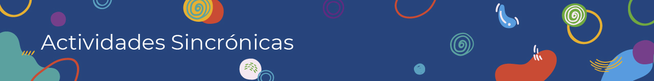 Act. sincrónicas